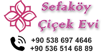 Ev Ofis Ve Fuar Çiçekleri - sefaköy Çiçekçi - sefaköy çiçek Siparişi - sefaköy çiçek gönder - sefaköy çiçekçisi